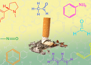NicoZero blocks the sensitivity of the receptors to nicotine