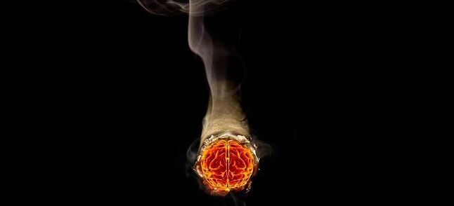 lit cigarette and nicotine harm